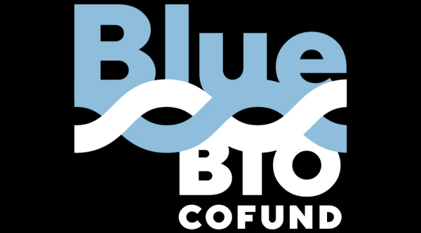 MARIGREEN partners participated in the beginning of April to an internal e-coffee meeting on BlueBio Cofund Human Capacity Building